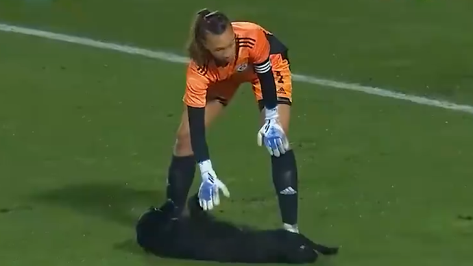 梦幻球场：中国女足壮志凌云的简单介绍