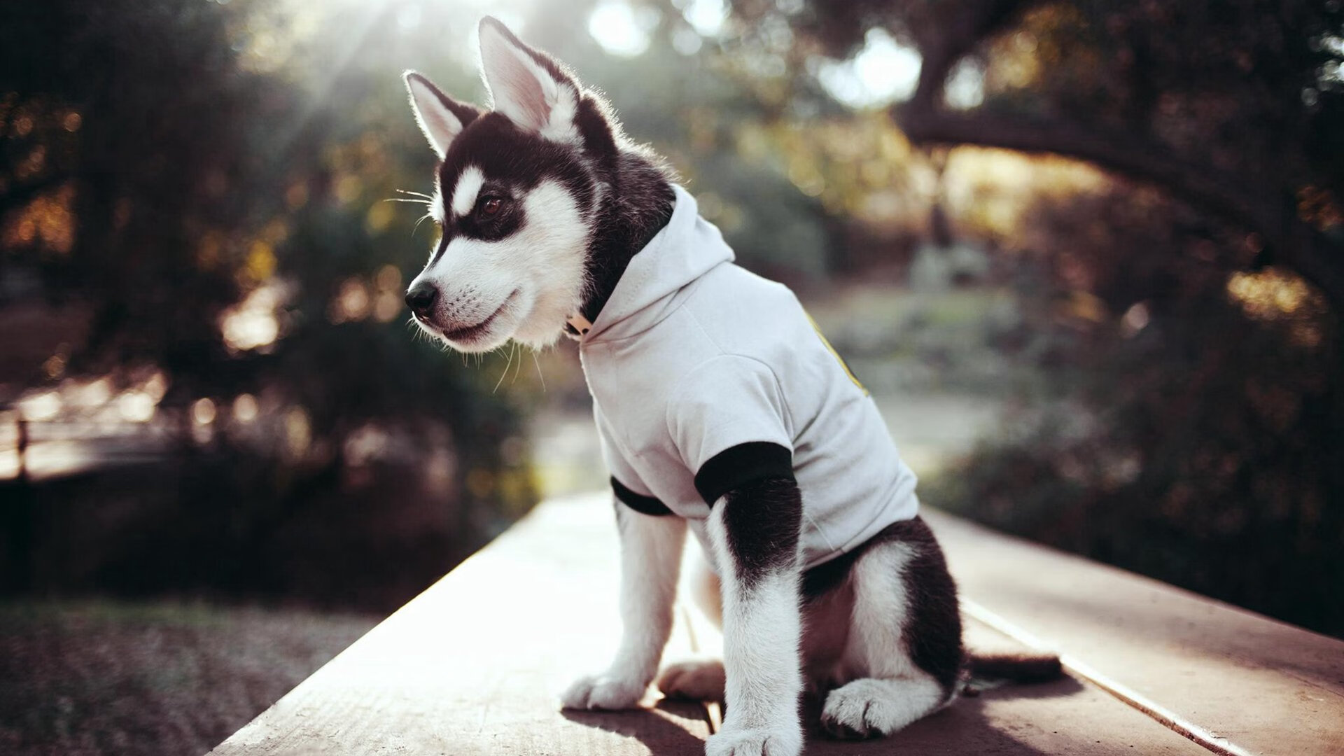 开云在线直播-总决赛之夜，萨拉赫彻底打爆防线